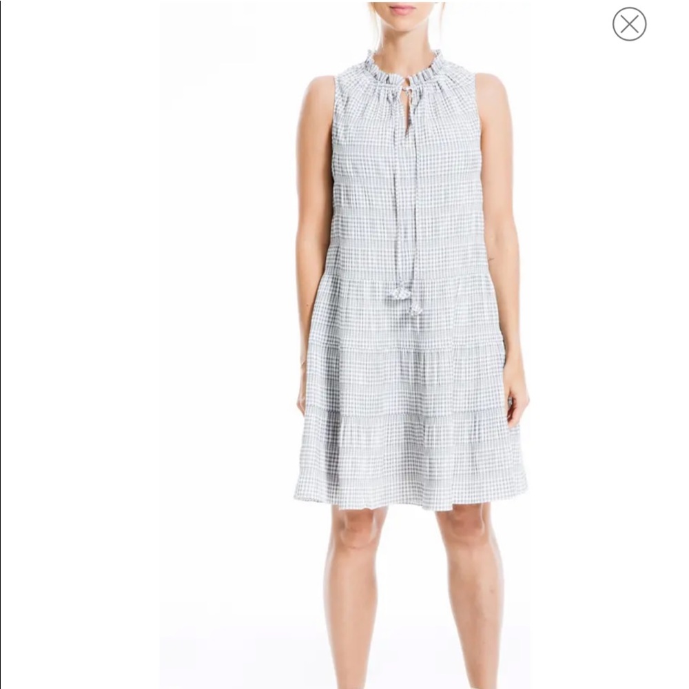 Blue & White Gingham Dress